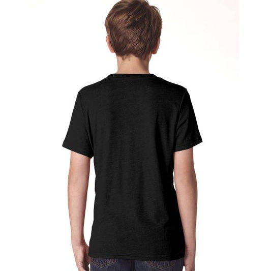 Next Level Youth Triblend Crew | N6310