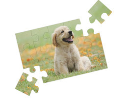 Puzzles