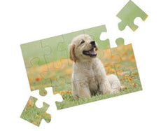 Puzzles