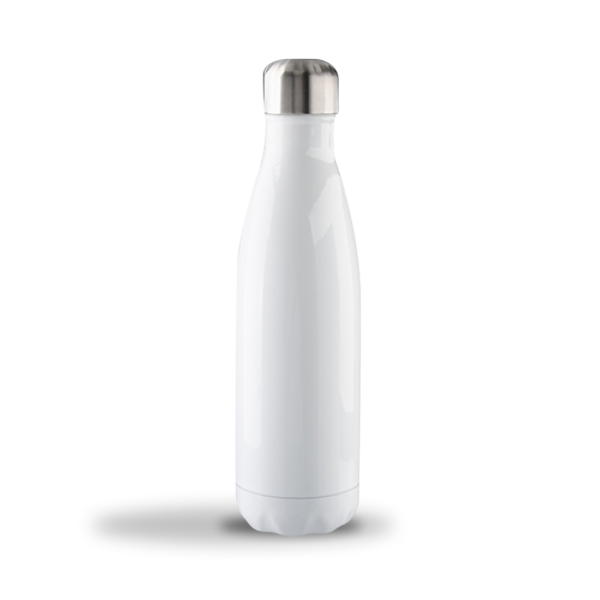 17oz Stainless Steel Bottle